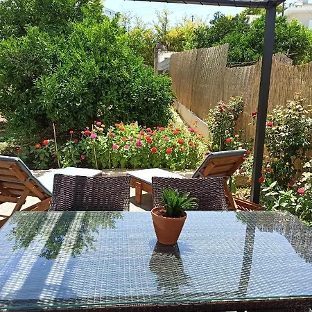 Irene's Garden